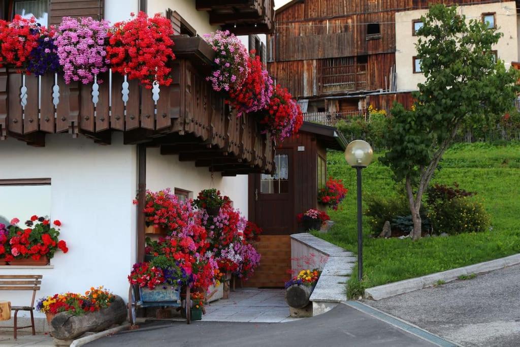 Piccola Suite Sul Civetta Colle Santa Lucia Εξωτερικό φωτογραφία